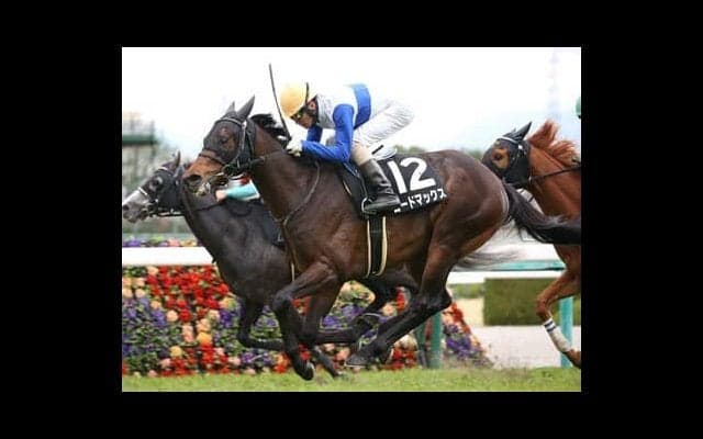 マイラーズＣは「阪神・芝1600ｍ」の重賞でダントツの勝利数を誇る、ディープインパクト産駒から２頭をピックアップ