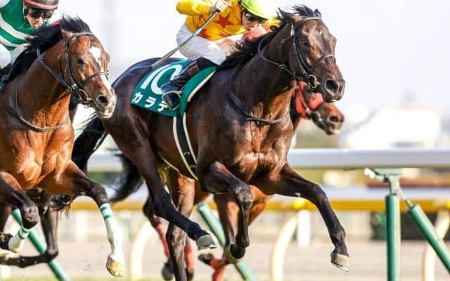 【マイラーズC枠順確定】カラテは3枠4番、ホウオウアマゾンは4枠7番