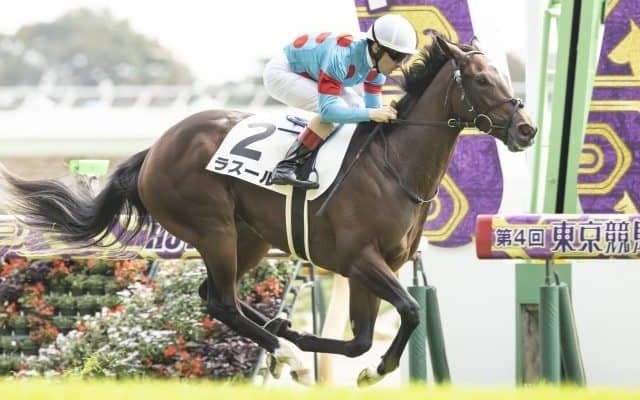 【フローラS枠順確定】ラスールは5枠9番、ルージュスティリアは7枠13番