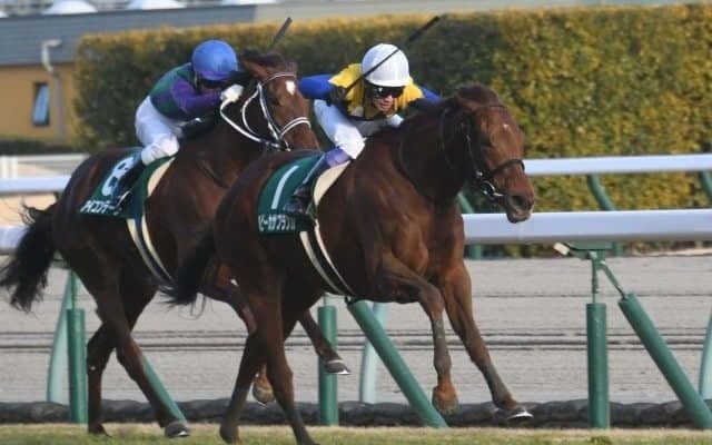 【福島牝馬S枠順確定】ルビーカサブランカは8枠15番、アブレイズは6枠12番