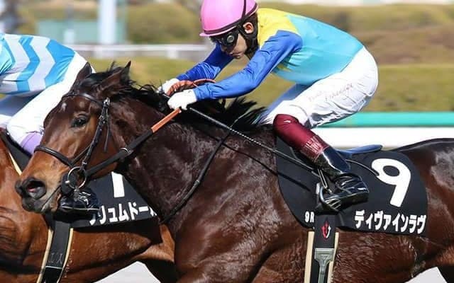 【JRA】昨年菊花賞3着の牝馬ディヴァインラヴが競走馬登録を抹消