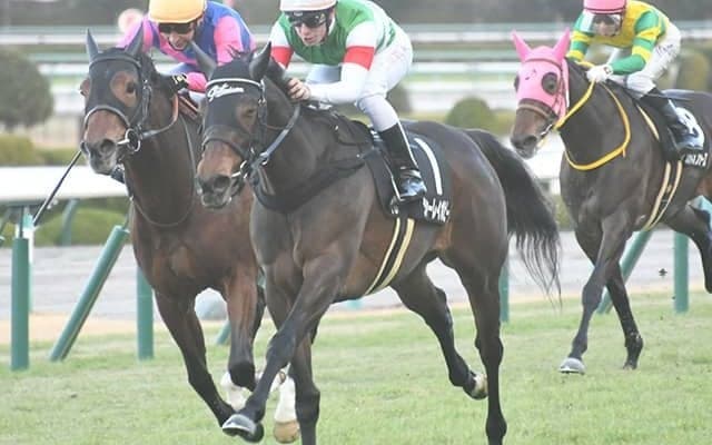 【福島牝馬S予想】距離延長馬が不振傾向。昇級馬に妙味ありも不安残る「あの馬」