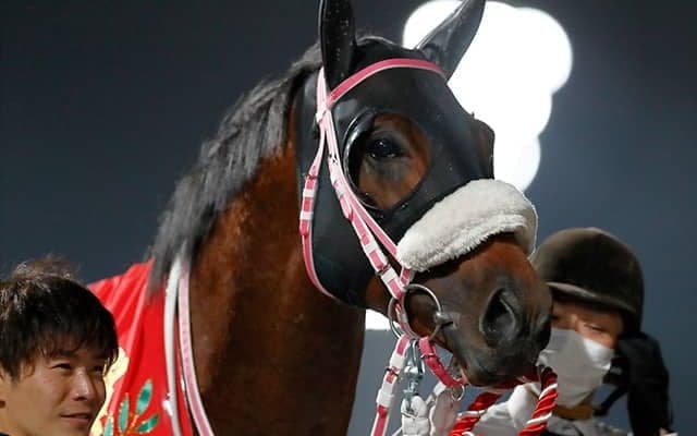 【次走】シャマルはさきたま杯か北海道SCへ、東京スプリントで重賞初制覇