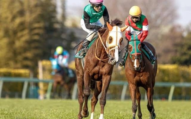 【今日の注目ポイント】東京開催がスタート 重賞の福島牝馬S、松山弘平騎手復帰など