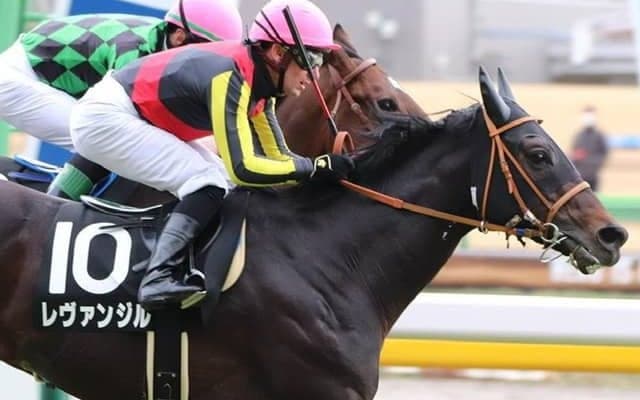 【青葉賞想定】レヴァンジルはD.レーン騎手、ロードレゼルは川田将雅騎手
