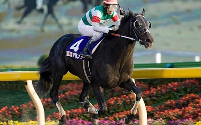 アロンダイトとジャガーメイルが移動、岡山県のオールド・フレンズ・ジャパンへ