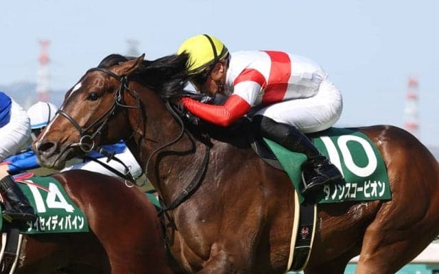 【アーリントンC】川田「バランス良く走ることが出来た」ダノンスコーピオンが重賞初勝利