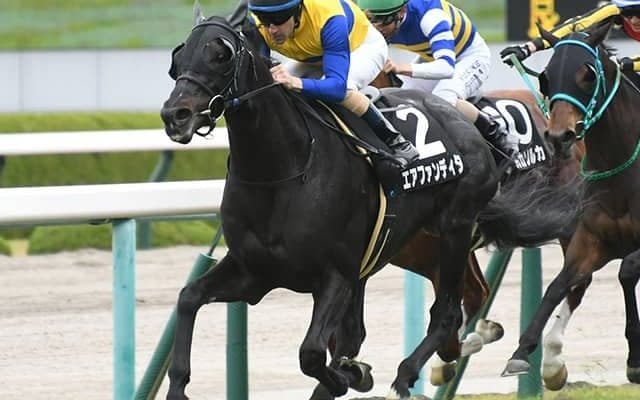 【マイラーズC予想】決め手はディープインパクト並み!? それでも疑うデータ的な理由