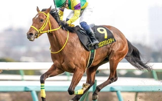 【次走】クロスマジェスティはラジオNIKKEI賞へ　今年のアネモネS覇者