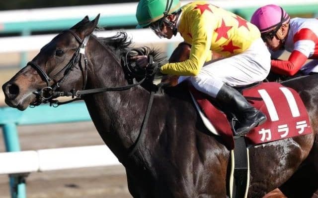 【マイラーズC前日オッズ】カラテとエアファンディタが5.3倍で並ぶ