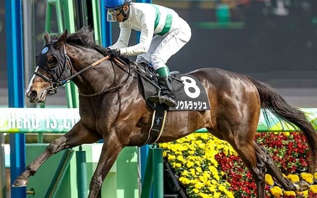 【AI予想・マイラーズC】奇跡のコンビで雪辱果たす!? 人工知能「◎」大混戦で選ばれた馬は…