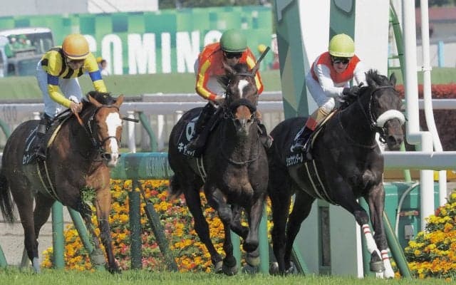 【新緑賞】ハービンジャー産駒 キャルレイが差し切る