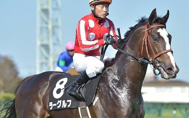 【次走】皐月賞8着ラーグルフは日本ダービーが目標