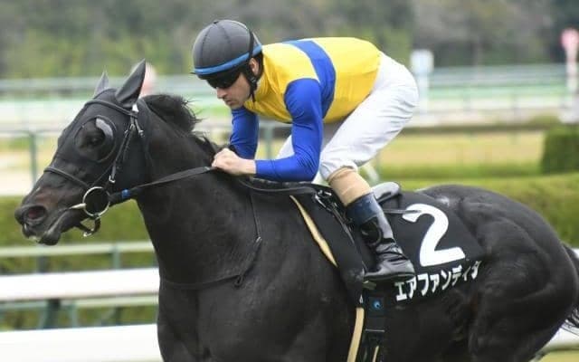 【マイラーズC予想】実力馬有利だが馬場状態にも注意を払いたい…安田記念への前哨戦