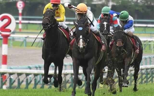 【マイラーズC】今年の売上は約64億円、昨年から20%以上の増加