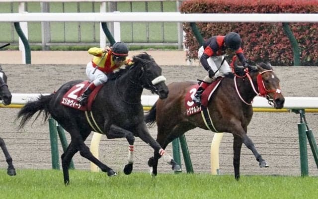 【フローラS】パーソナルハイ 強行軍もオークスの切符獲得