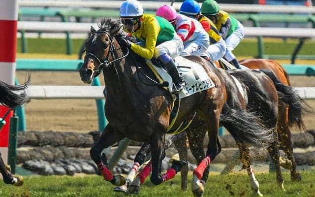 【青葉賞登録馬】エターナルビクトリなど17頭