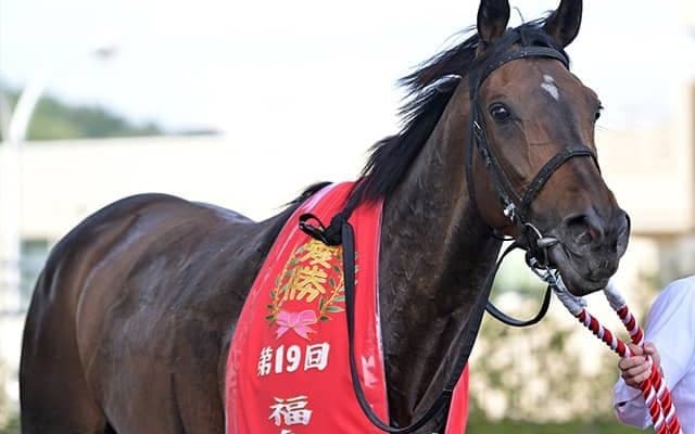 【福島牝馬S】売上は39億1199万3100円、新潟開催の昨年より4億円以上の増加