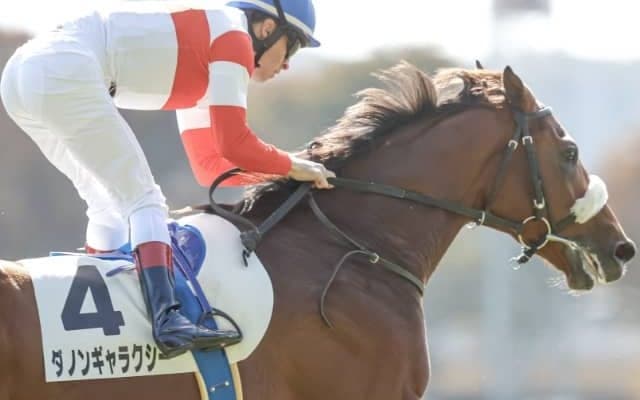 【青葉賞想定騎手】ダノンギャラクシーはC.ルメール騎手、レヴァンジルはD.レーン騎手