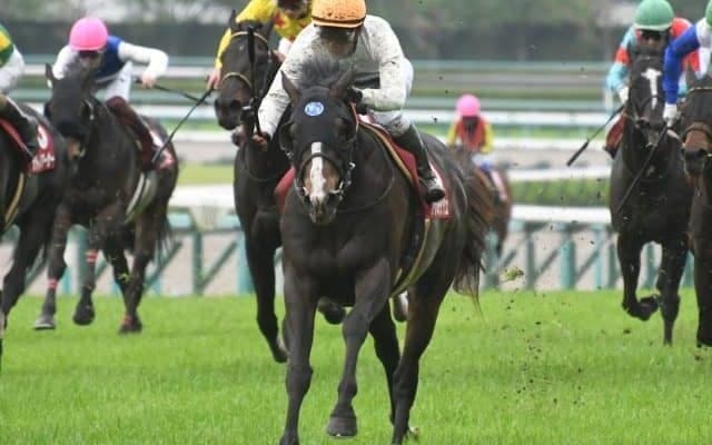 好調期の勢いに注目の配合　クラスの壁を突破し4連勝で重賞制覇