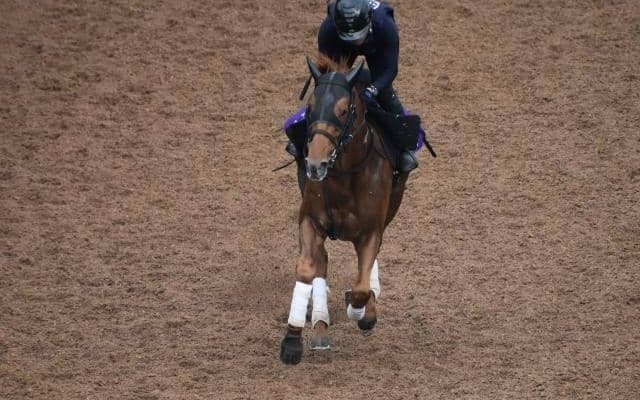 テーオーケインズなど、先週の入厩情報/栗東トレセンニュース