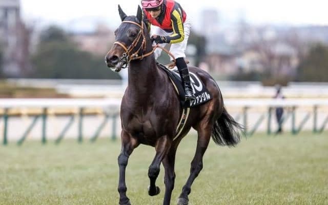 【青葉賞予想オッズ】レヴァンジルが予想1番人気