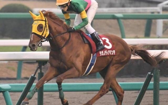 【天皇賞・春展望】1番人気が5年連続で連対、中心になるのはやはりあの馬