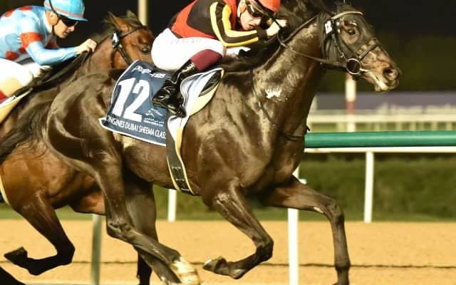 シャフリヤールが英G1プリンスオブウェールズSに登録、単勝1番人気に