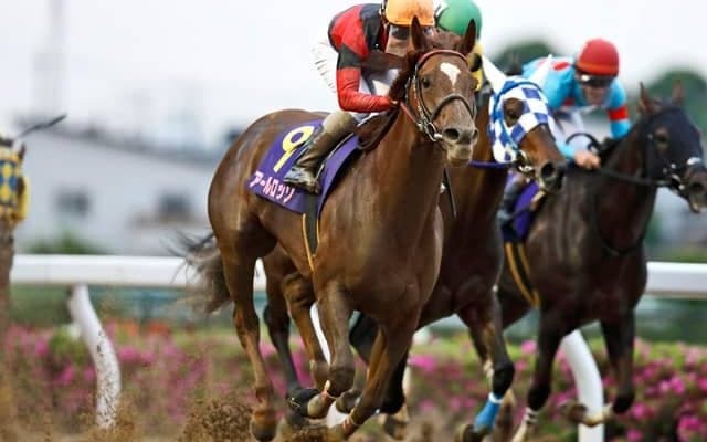 【浦和・しらさぎ賞結果】アールロッソが差し切り3連勝で重賞初制覇