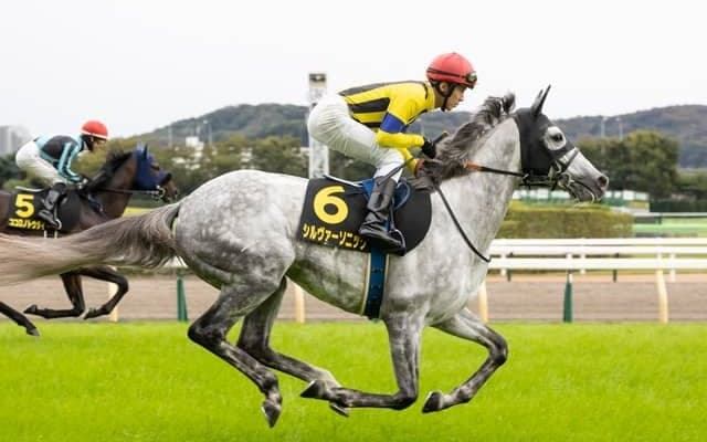 【天皇賞・春予想】AIの注目馬は波乱を演出できるか！