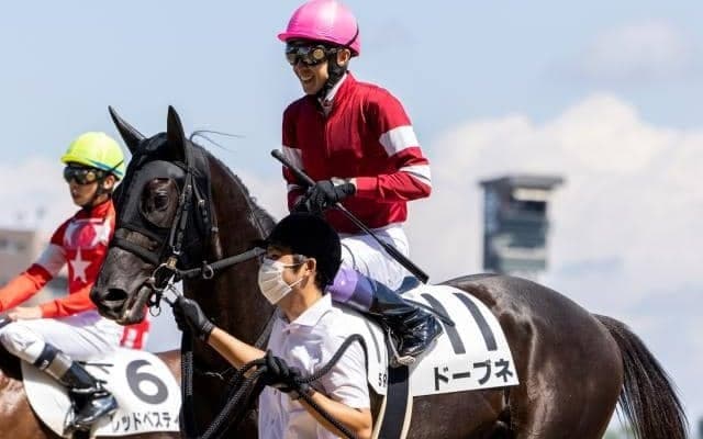 【次走】ドーブネはNHKマイルCを回避しプリンシパルSへ　鞍上は引き続き武豊騎手