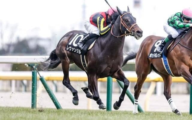 【青葉賞出走馬・騎手確定】レヴァンジル＆D.レーン騎手、ダノンギャラクシー＆C.ルメール騎手など14頭