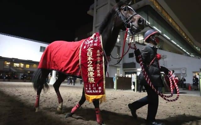 【園田・兵庫CS出走予定馬】2歳王者ドライスタウト、前走サウジのコンシリエーレら