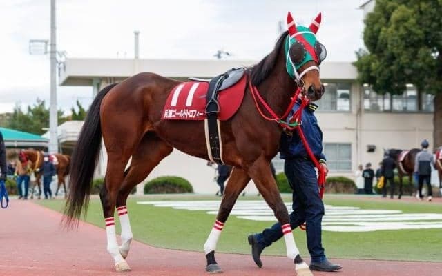 【名古屋・かきつばた記念出走予定馬】連覇中ラプタス、重賞連続2着ヘリオスら