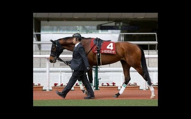 天皇賞・春は本当に「２強」で決まるのか。過去データから浮上する激走候補にご用心