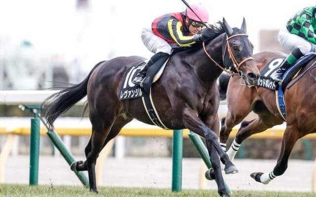 【青葉賞枠順確定】レヴァンジルは7枠11番、ロードレゼルは5枠7番