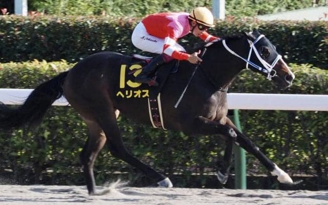 【かきつばた記念】JRA出走予定馬