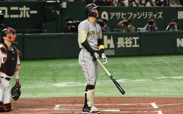 「どこまで飛んだんこれ」　佐藤輝明、豪快過ぎる“バルコニー弾”は「松井秀喜級」