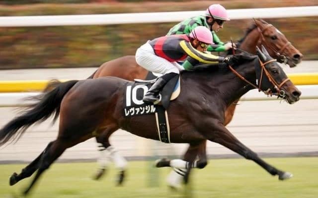 【青葉賞予想】日本ダービー前哨戦、レベルの高い血統構成の持ち主を抜擢