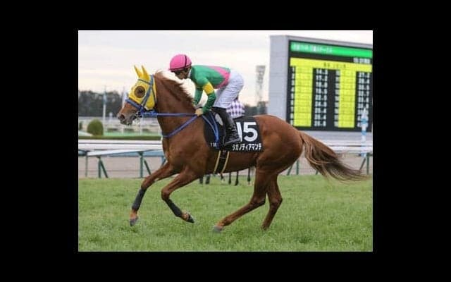 天皇賞・春は過去と現在の傾向から「大荒れ」確定。穴党記者が高額配当の夢を託した２頭