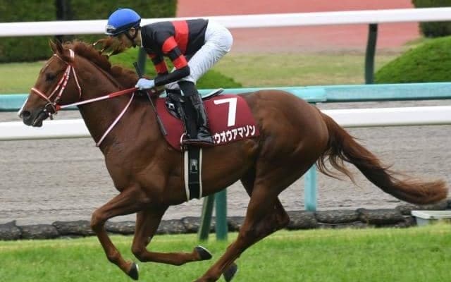 【次走】ホウオウアマゾンは坂井瑠星騎手とのコンビで安田記念へ