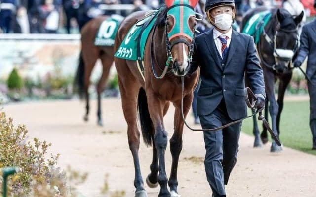 【次走】ライラックはオークスへ 横山和生騎手と新コンビ