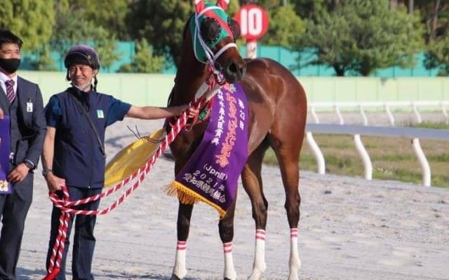 【名古屋・かきつばた記念枠順確定】ラプタスは3枠3番、イグナイターは1枠1番