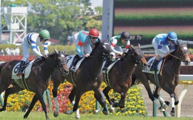 【東京7R】短期免許のレーンが来日後初V！シルブロンで抜け出す