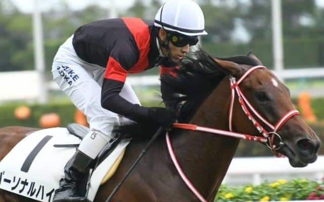 【次走】パーソナルハイは吉田豊騎手でオークスへ