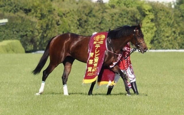 【青葉賞】池添謙「初めて跨った時にクラシックへと思っていた」プラダリアがダービーの権利獲得