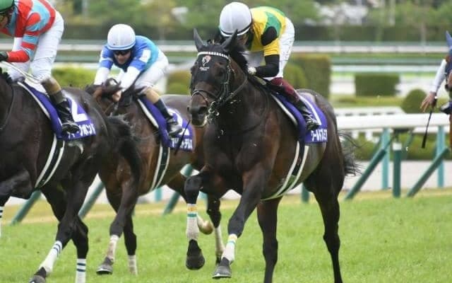 【天皇賞・春予想】人気上位総崩れがないけど荒れる？ カギは2桁人気薄馬のチョイス法にあり！