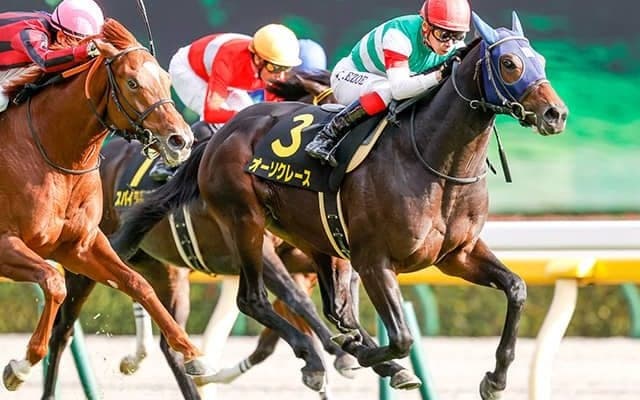 菊花賞2着馬オーソクレースがトルコで種牡馬入り、母はGI・2勝馬マリアライト