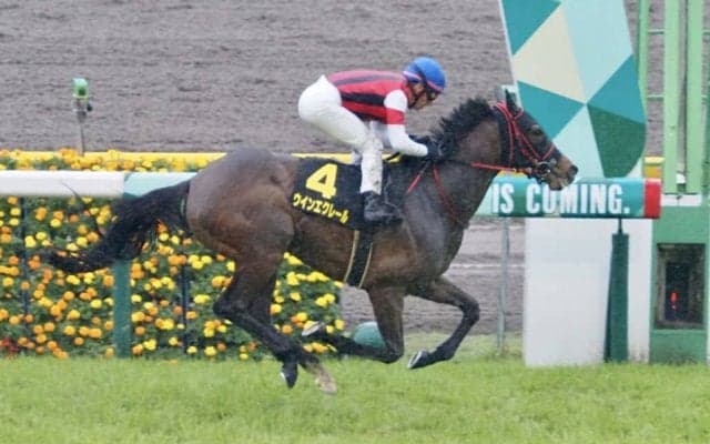 【スイートピーS】良血ウインエクレールがオークスの切符獲得