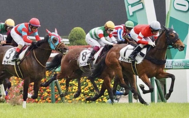 【東京6R】ディープ産駒 アオイモエが2勝目